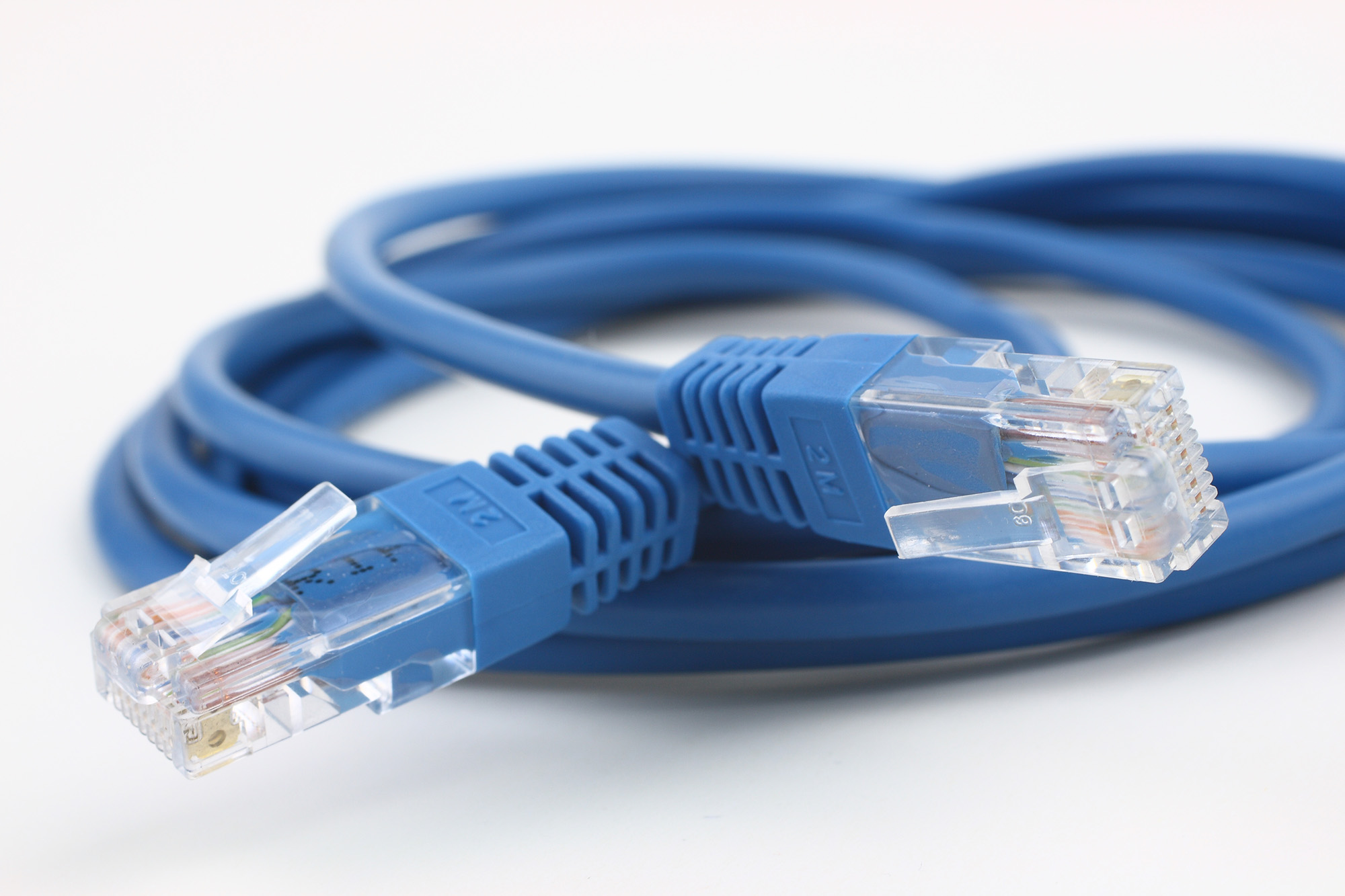 blue Network connection plug